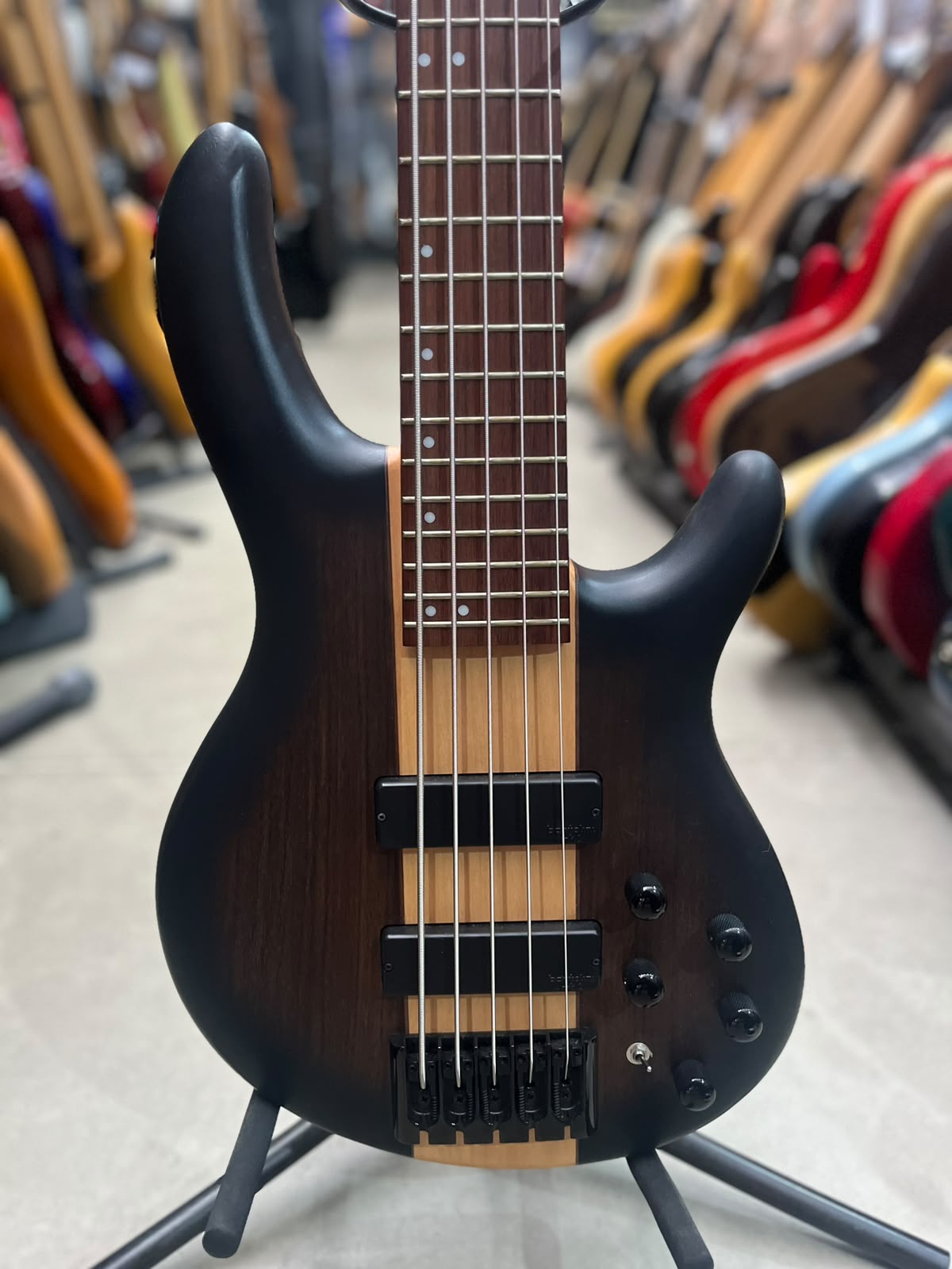 Baixo Cort C5 plus