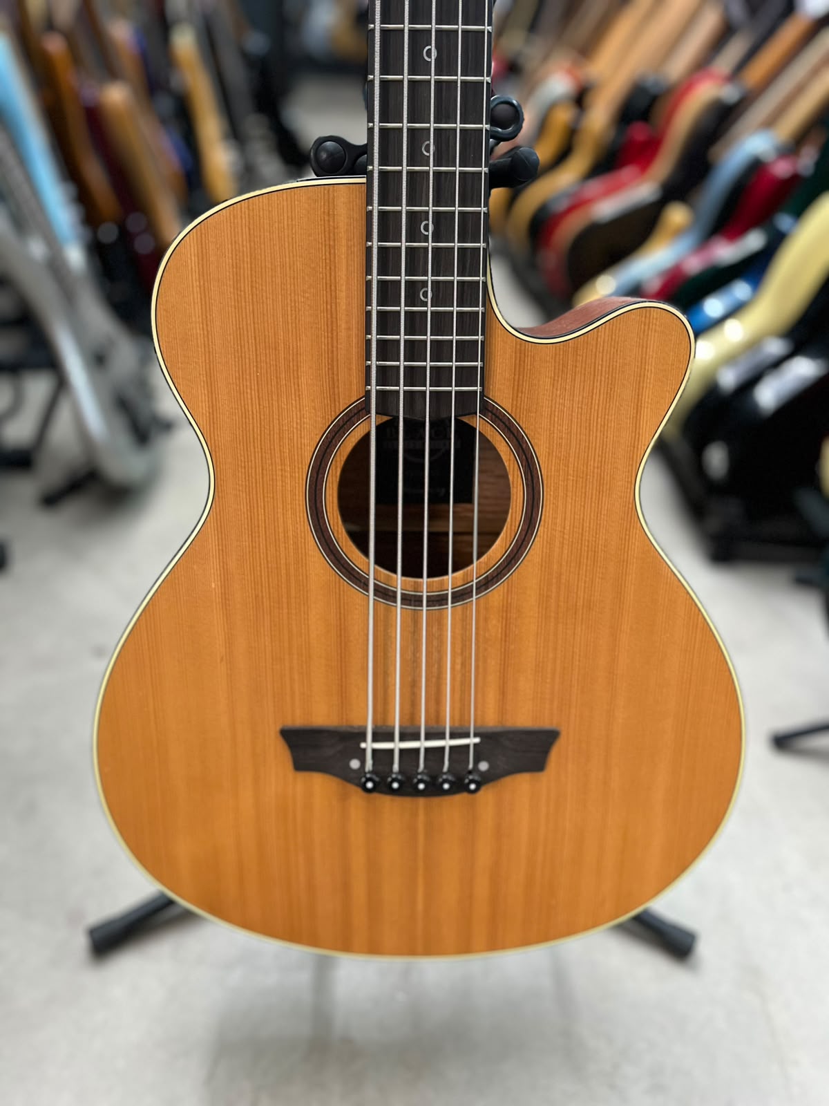 Baixolão Marca Strinberg – Modelo: 5 cordas