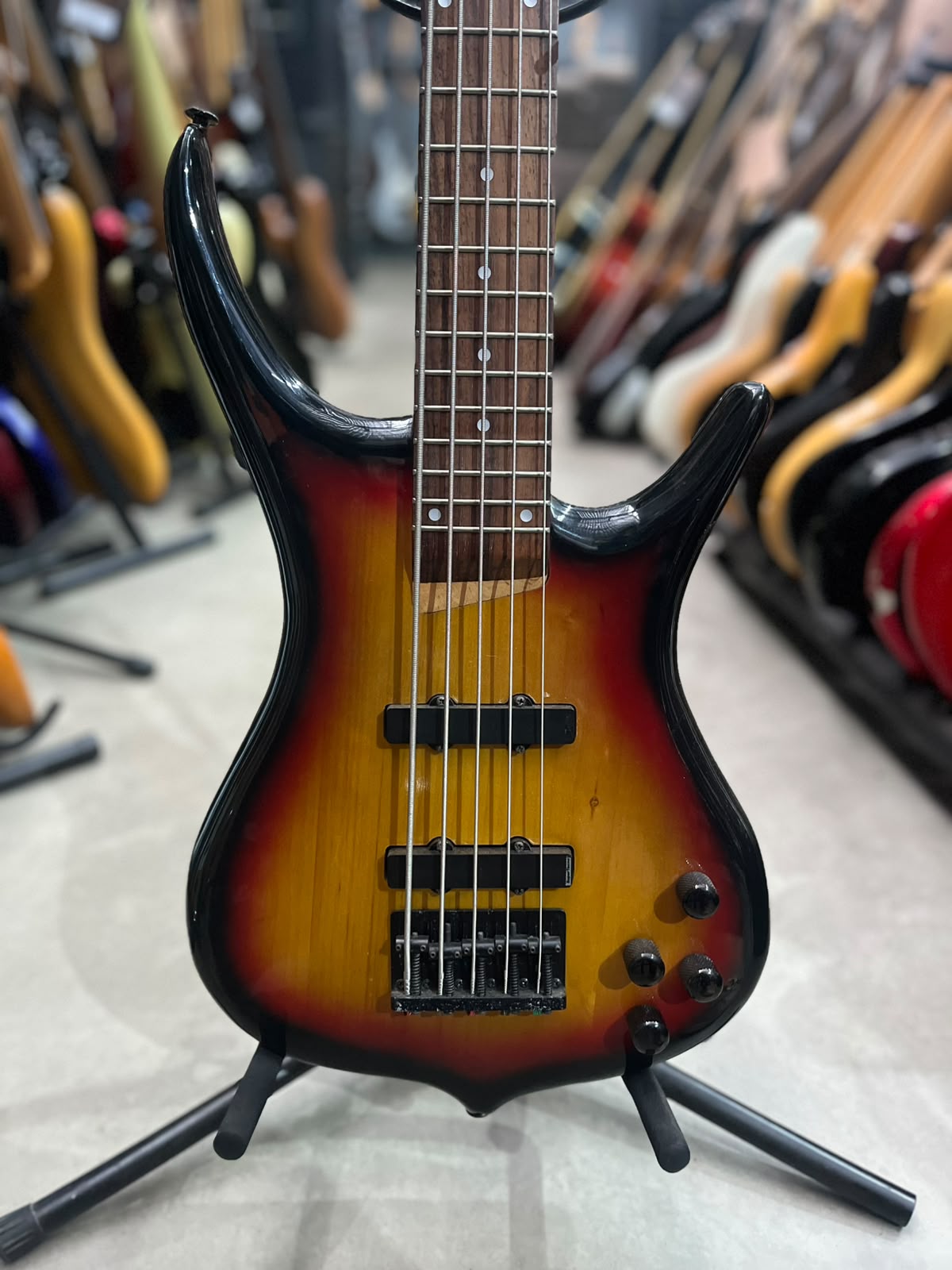 Baixo shelter 5 cordas sunburst
