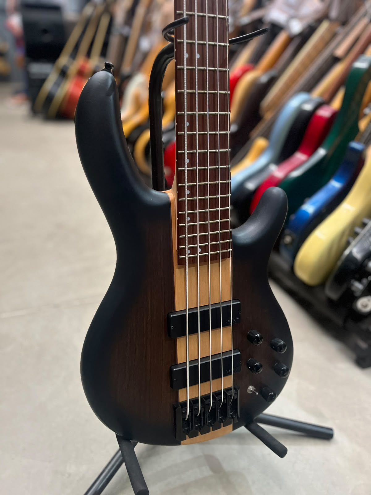 Baixo Cort C5 plus miniatura 3