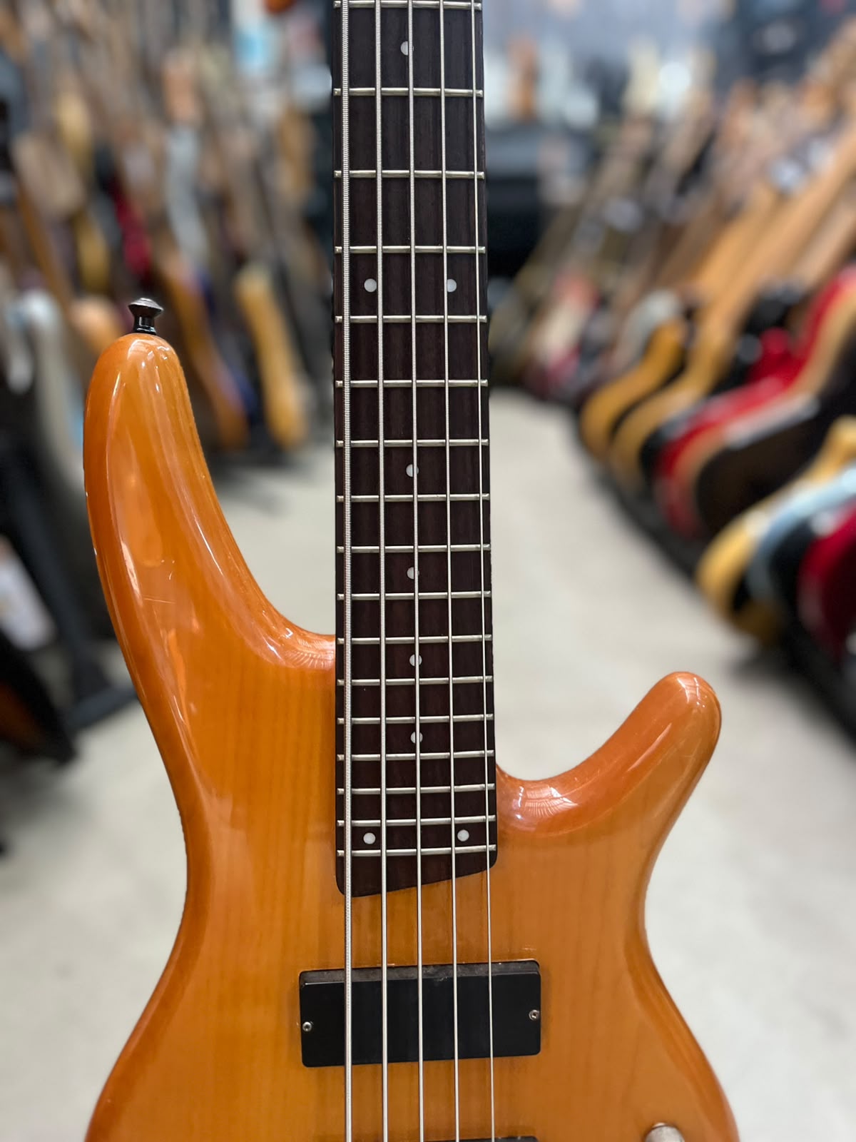 Baixo Ibanez  SDGR 5 cordas ativo miniatura 3