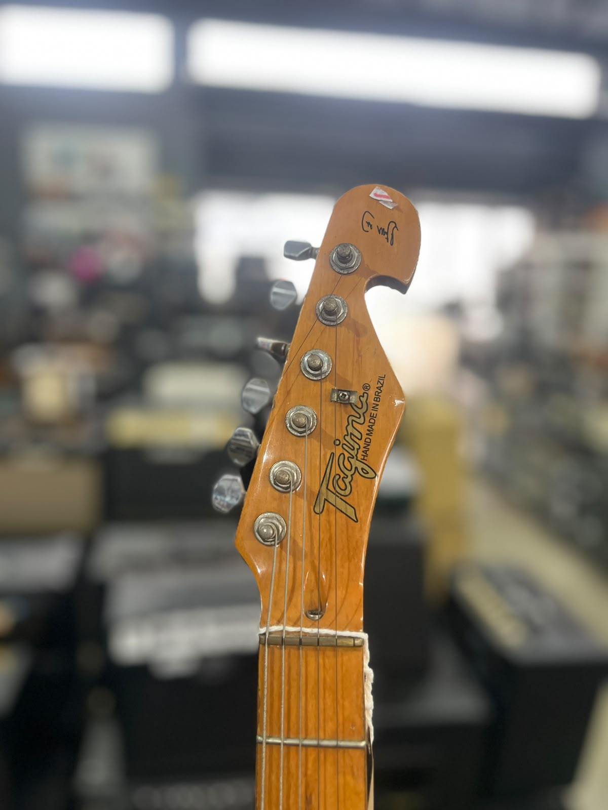 Guitarra Tagima Telecaster TG 505 miniatura 5