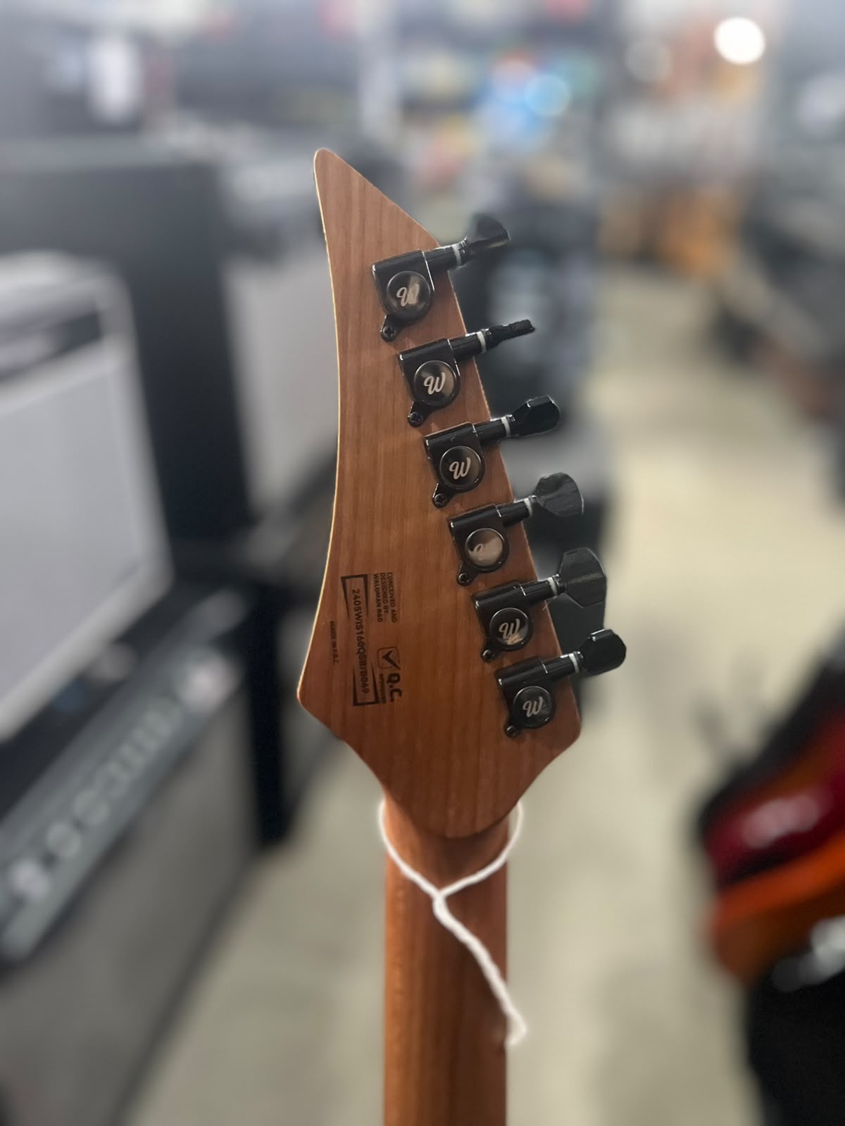 Guitarra Waldman  WIS-160 miniatura 8