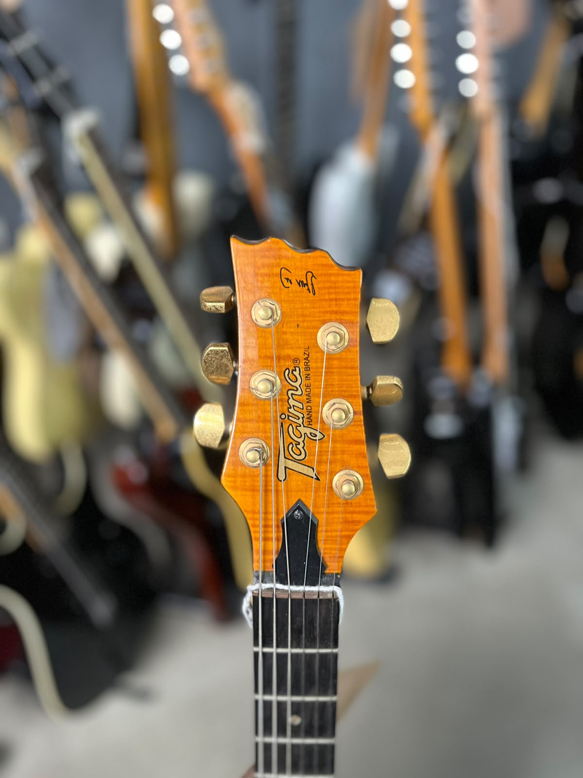 GUITARRA TAGIMA SAMMY JR STRATO miniatura 5