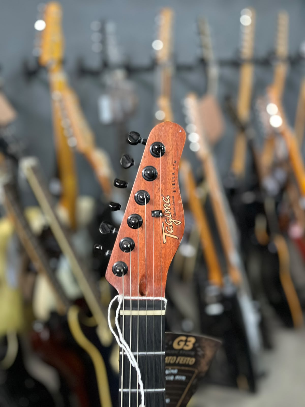 Guitarra  Tagima  Stella miniatura 5
