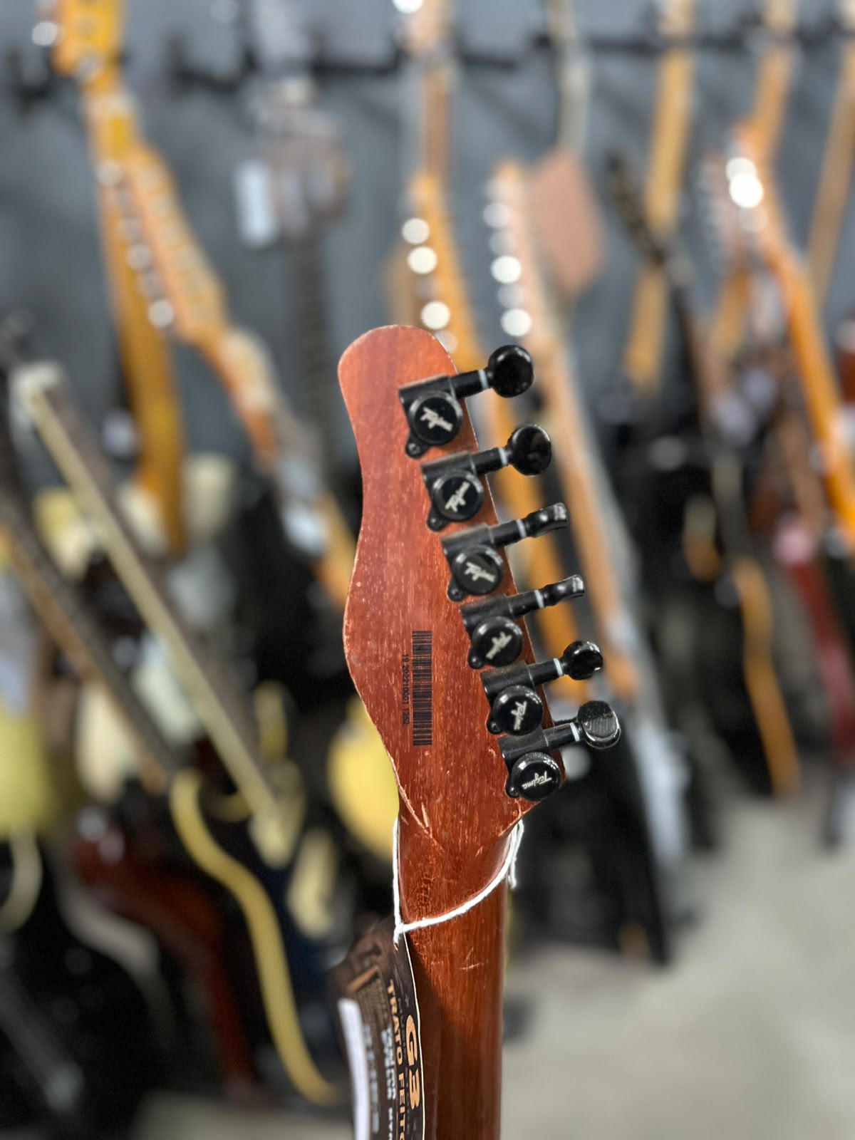 Guitarra  Tagima  Stella miniatura 6