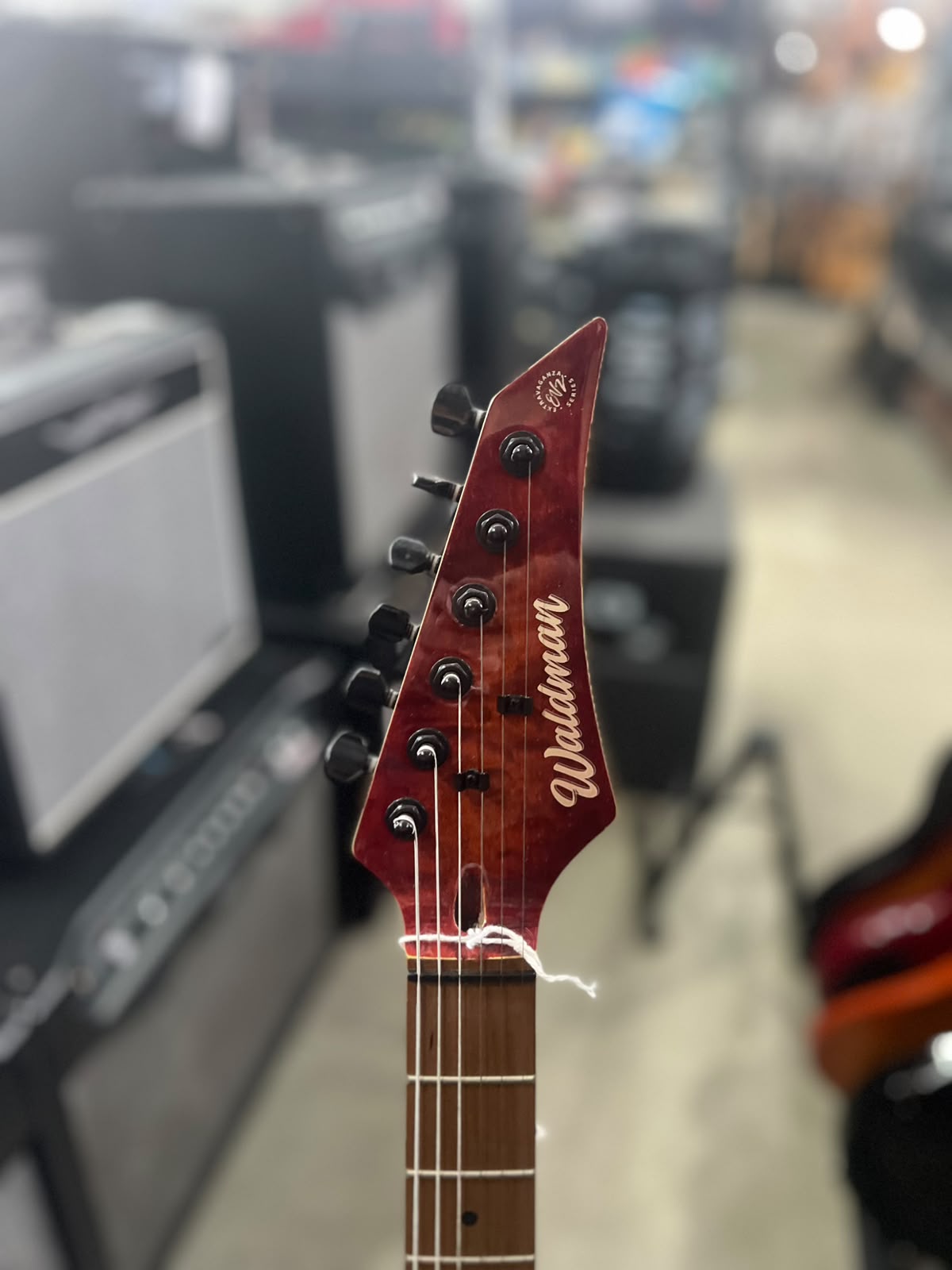 Guitarra Waldman  WIS-160 miniatura 7