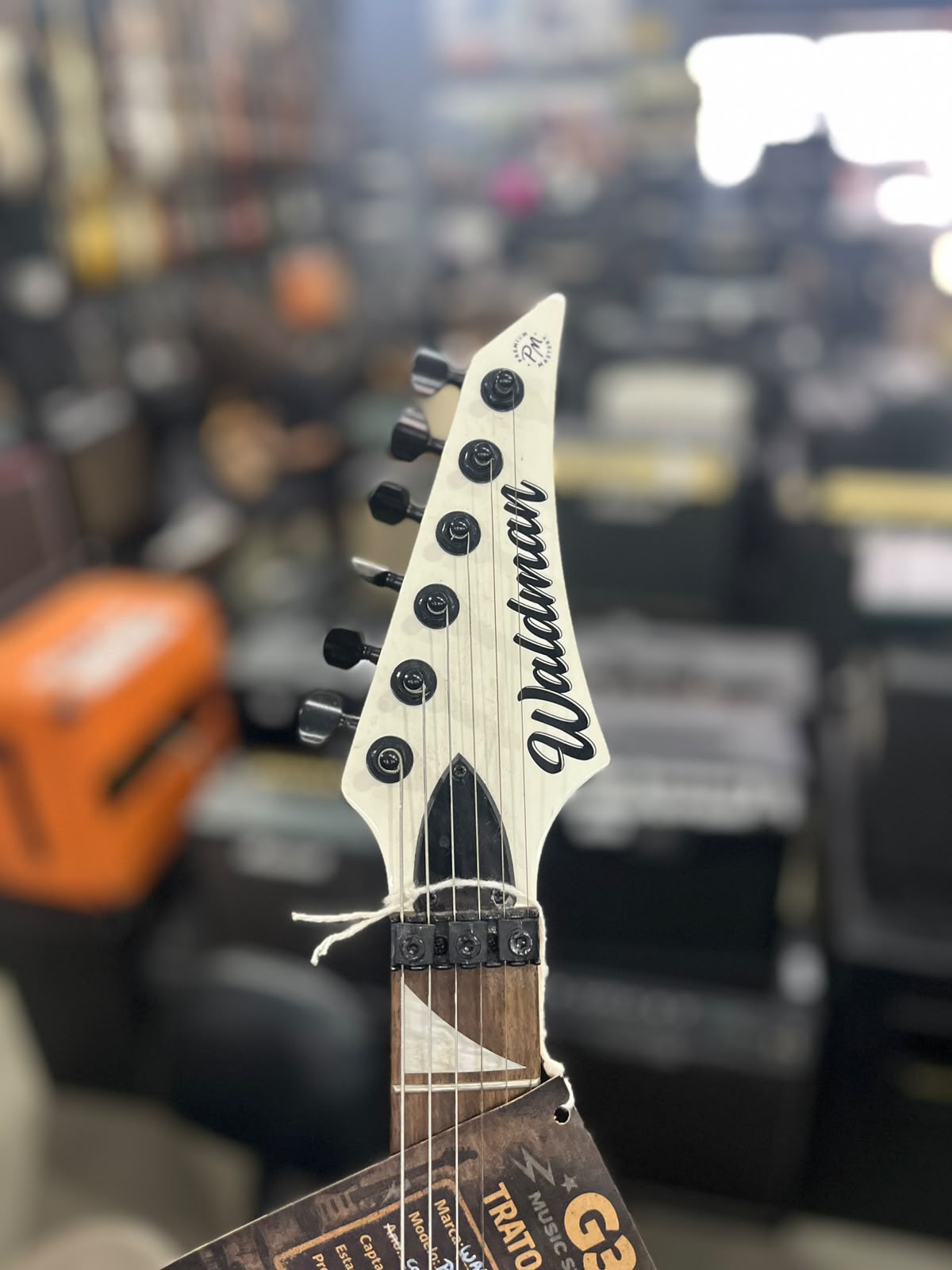 Guitarra Marca Waldman  Modelo: premium Mastery miniatura 5
