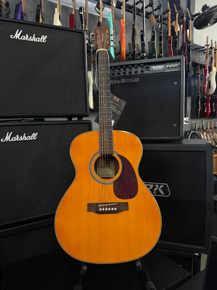 Violão Giannini Performance Plus Baby aço